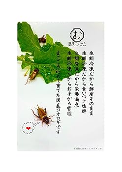 Amazon | 【Lサイズ処理済み】冷凍フタホシコオロギ 100g(約140